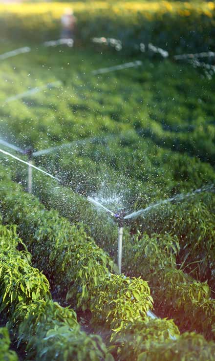 Perez Landworks Irrigation System Repair